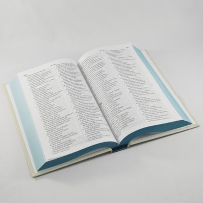 image_19b7aabc-a3b3-497a-8f85-fa48e5305d15