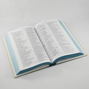 Bíblia Sagrada Retro | NVI | Letra Gigante | Capa Dura