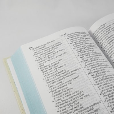 image_63451275-ccf7-492b-8f37-0a571ad54338