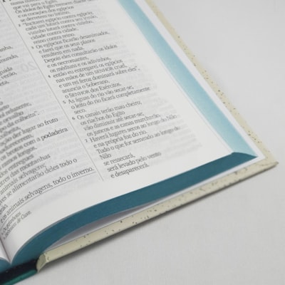 image_8387fb79-0dbd-4747-b0f6-18da499e0f3d