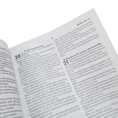 image_6ea05411-80f4-48f9-a253-23d0ff73499c