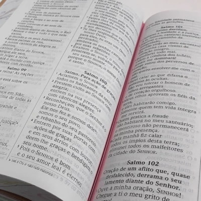 image_5ba81ced-4d71-4ee9-8e53-b8eddfe45189