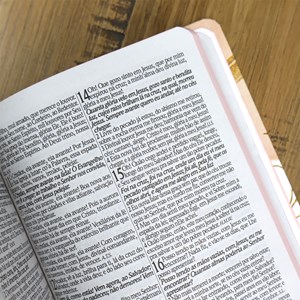 Bíblia Sagrada Rosas Minimalistas | ARC | Letra Gigante | Capa Dura | Harpa Avivada e Corinhos
