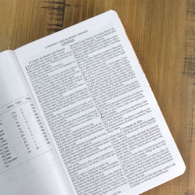 Segunda imagem do produto Bíblia Sagrada Rosas Minimalistas | ARC | Letra Gigante | Capa Dura | Harpa Avivada e Corinhos