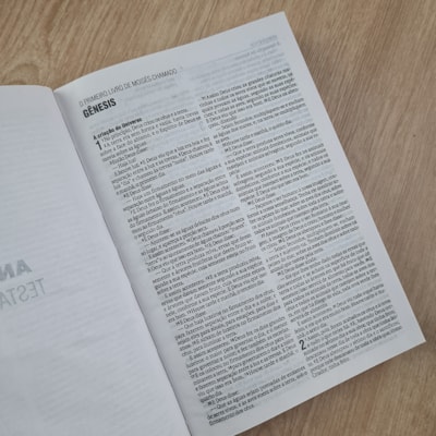 image_8faa5567-6c8e-4c92-afed-689e6bcc58b4