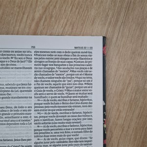Bíblia Sagrada Rosas | NAA | Letra Normal | Capa Dura