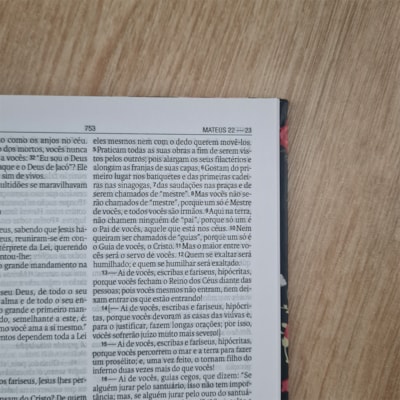 image_dec5ef66-b436-4c84-a20b-fa02729fb545