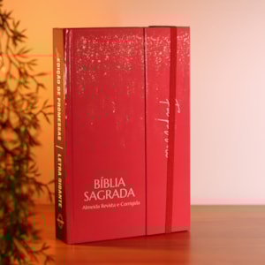 Segunda imagem do produto Bíblia Sagrada Rose Love | ARC | Harpa Pentecostal | Letra Gigante | Capa Dura Panorâmica