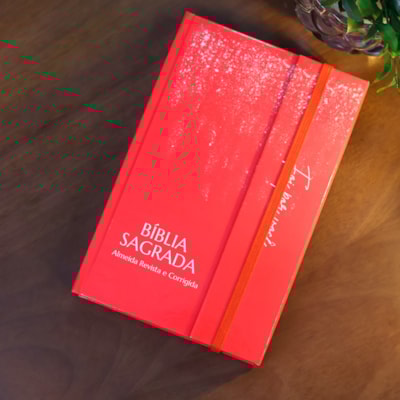 image_df5f9e5b-4630-47f7-8dbc-e6f490b43366