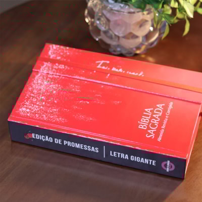 image_b49a4203-0eb6-4a4d-a68f-26d41022cc2d