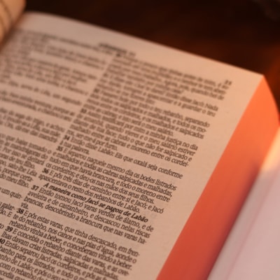 image_d2885843-be4b-4d49-947e-db4b0342d167