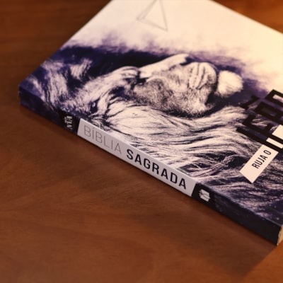 image_af4d9344-ce0e-40ed-8c02-143bb115a298