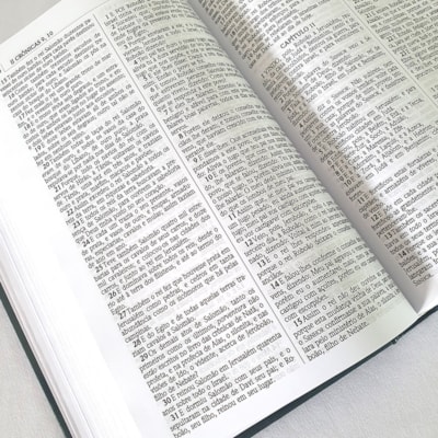 image_6f8fdce2-702f-494c-9576-768453aef866