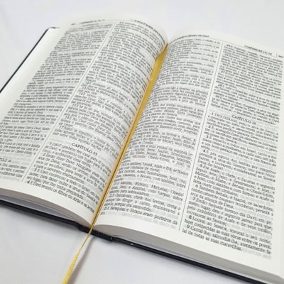 image_1ab07185-8c90-45bc-847d-5405767680cc