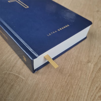 image_a9334c94-9f52-4fac-b8f8-e5bf03760398