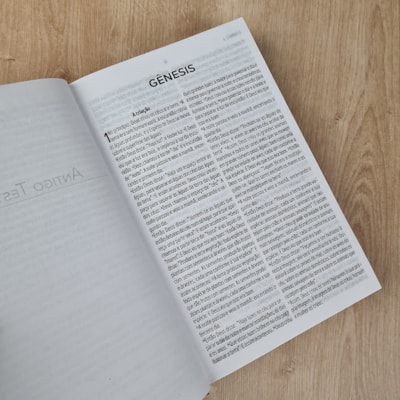 image_8583a557-bfc0-417d-860f-8f227cbb65b7