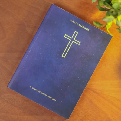 image_14a86df2-1b10-4a5a-b827-dfa3776fcc77