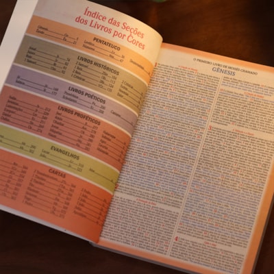 image_f290baee-dae9-4d97-8ca3-bef95bea0d37