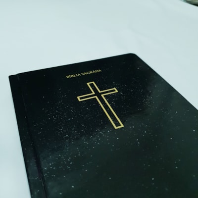 image_b255c1d4-1db7-4fc3-9ceb-fd97617d9677