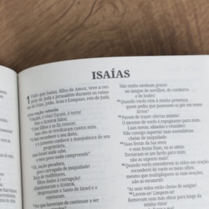 Bíblia Sagrada Salvos Pela Graça Rosa | NVI | Letra Normal | Capa Brochura