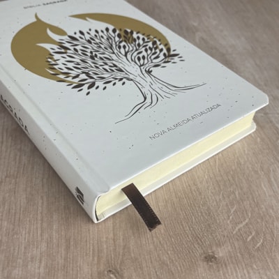 image_e87fd03d-6ff1-4f4b-9adc-cf623b6c6bf9