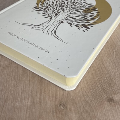 image_8b8dd7d0-9d69-4aed-a74e-a1cebdf0662b