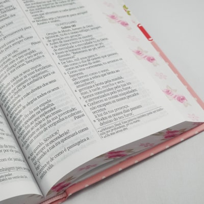 image_b658e952-8c08-4134-acd4-50fa262b3749