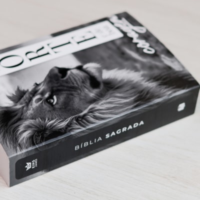 image_fcba12f3-c180-4efd-820b-4322ee84d2f8