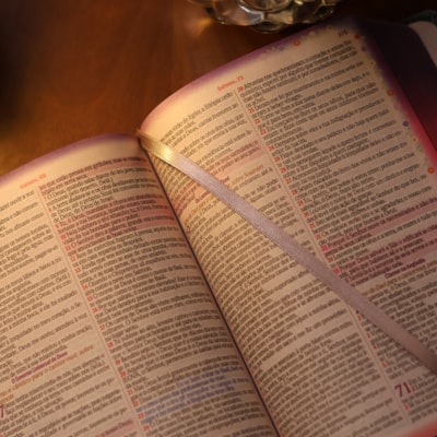 image_74ec1358-38b4-4110-bd54-eb7fd31d04cd