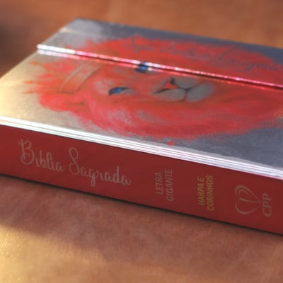 image_01472d82-8bb4-4d90-ae05-388d0f25be01