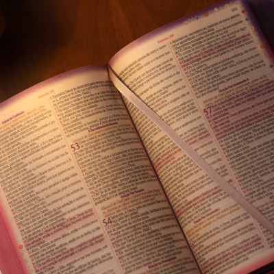 image_dd894211-efeb-4eb2-8ab3-714ea7a653ba