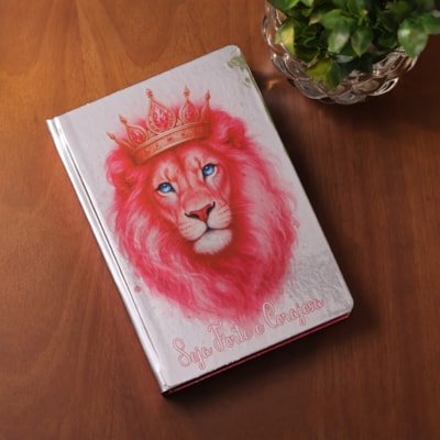 image_eafef3e4-a06d-4e10-8233-61baaea2ee7a