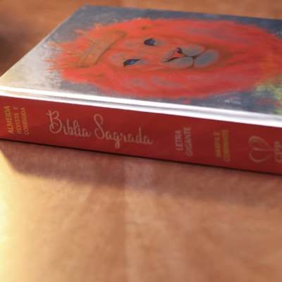 image_9317d671-5cea-4a26-b02f-7a24e70bef3c