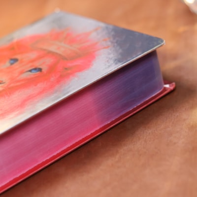 image_1fc2b67c-2a6a-47f5-9112-44c4e969c877