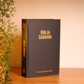 Segunda imagem do produto Bíblia Sagrada Semear | NAA | Capa Dura Preta