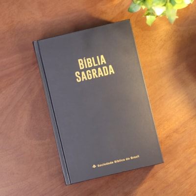 image_2619fe56-2d3e-438e-8e0a-a0558df3f6ab