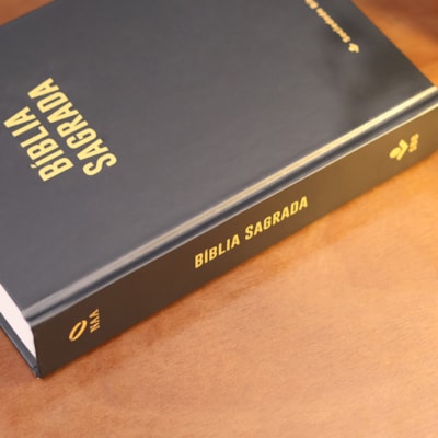 image_362639c5-7924-4f54-af53-95b44d0707da