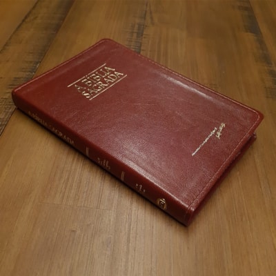 image_2082aa68-21d3-4776-9c94-bc7d09e0a96f