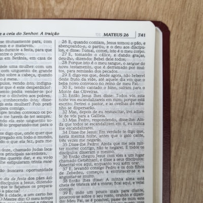 image_48fd1398-c146-4092-a1e3-e41c5297e16e