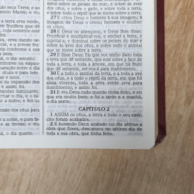 image_678c656c-fe7b-4ee7-a15b-e0deed17df86