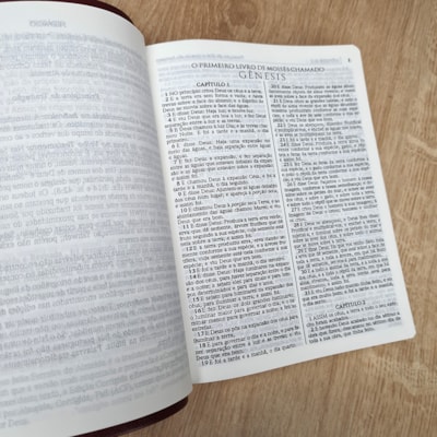 image_e642a24b-22d2-4bea-b7ef-4be3e0bc4c3c