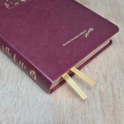 image_9ce854d8-232d-4b4f-8eab-08cc84e26515