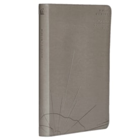 Biblia Sagrada Slim | ACF | Luxo Cinza