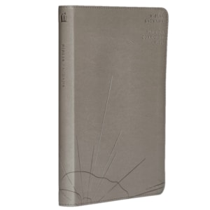 Biblia Sagrada Slim | ACF | Luxo Cinza