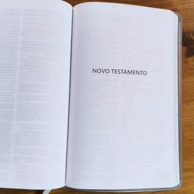 image_5e8520b0-74d5-40b7-b7a4-a8fad5ed0a6d