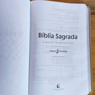 image_ccf0309f-67ea-4534-85a7-9f4f9c6e62bc