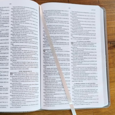 image_830a5104-b599-49fa-8b2b-5094dff4d8ea