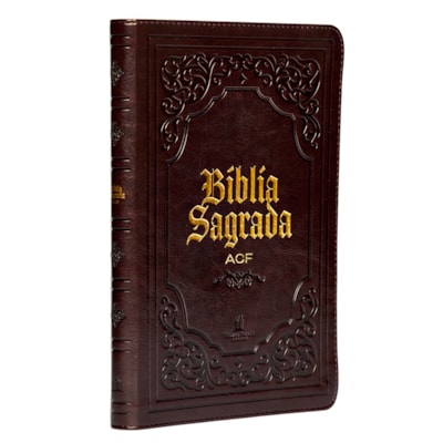 Imagem Principal - b7219a52-9f4b-414b-aaa5-4fab3f225351