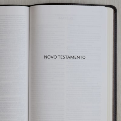 image_937b54d6-05bc-4f68-a95b-28feb2586c9a