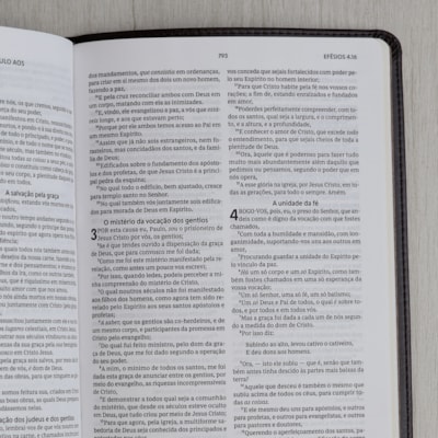 image_2962ae17-e291-4365-9e81-31297603523e